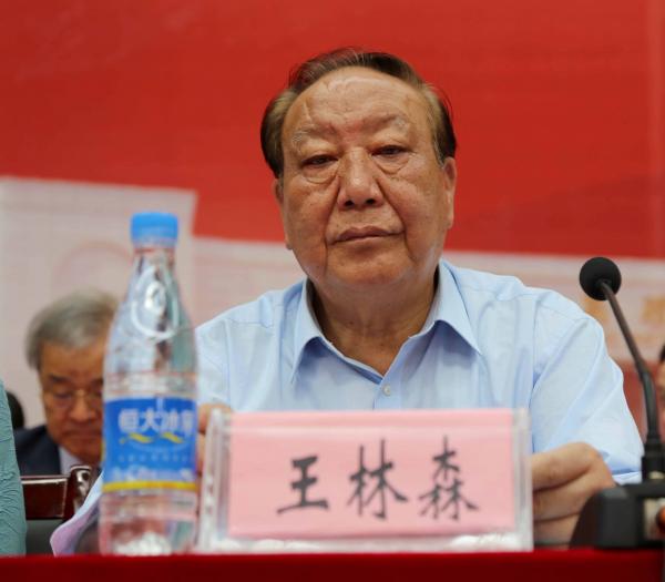 江西省政协原常务副主席、省委统战部原副部长王林森出席太阳城娱乐集团20周年成立庆典大会并讲话.JPG